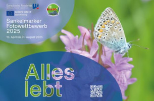 Fotowettbewerb Alles lebt